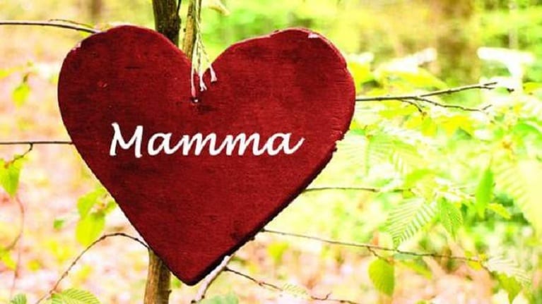 Festa della Mamma, origini antiche per una giornata che non tramonta mai. Ad Alcamo azalee dell'AIRC