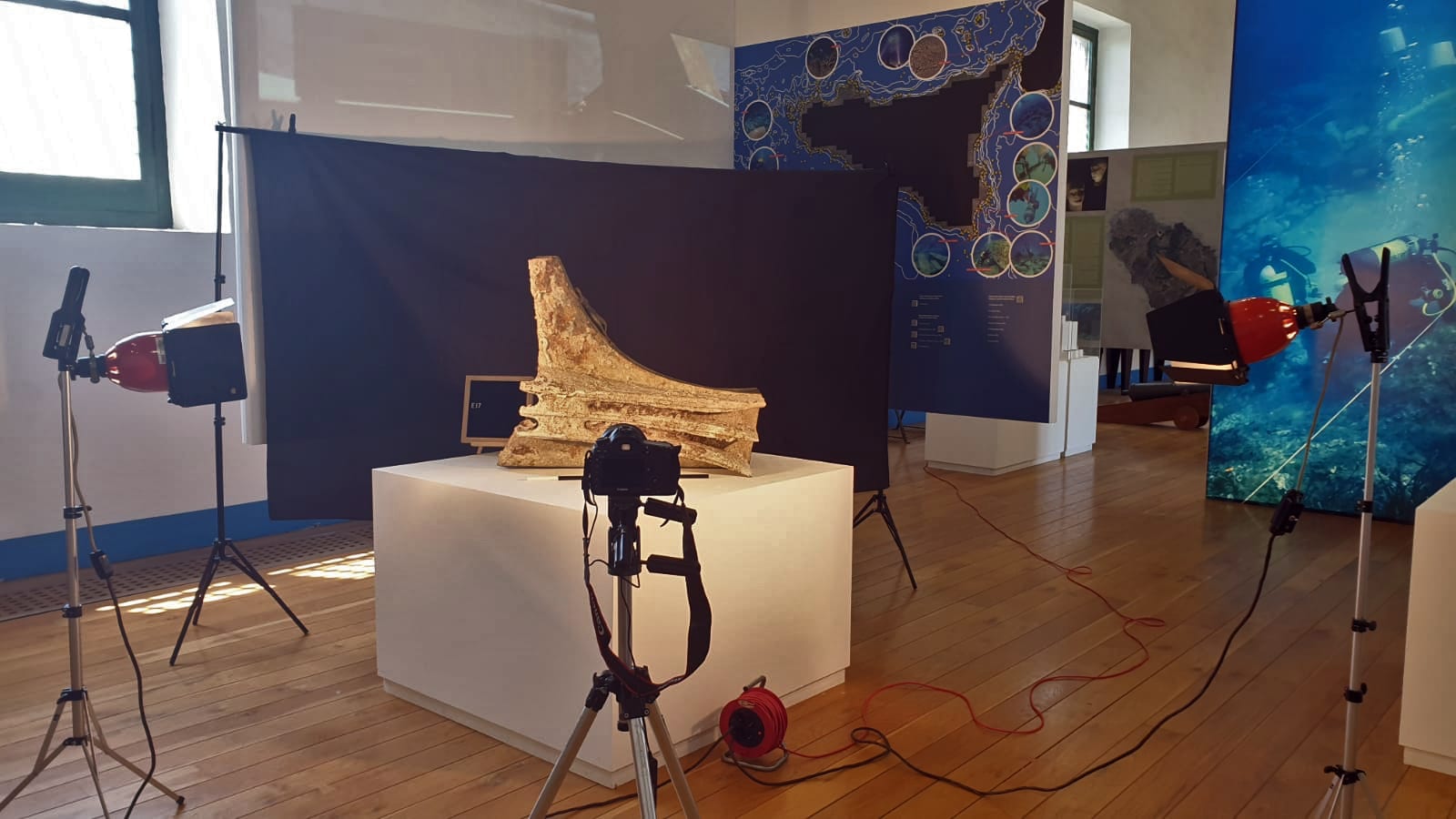 Rostri della ‘Battaglia delle Egadi', cominciati gli studi. Foto e scansioni con laser
