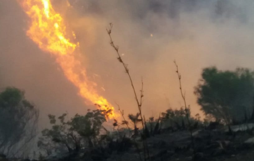 Prevenzione incendi e misure contro piromani, 'legge voto' in Parlamento. Palmeri: “Necessari droni militari”