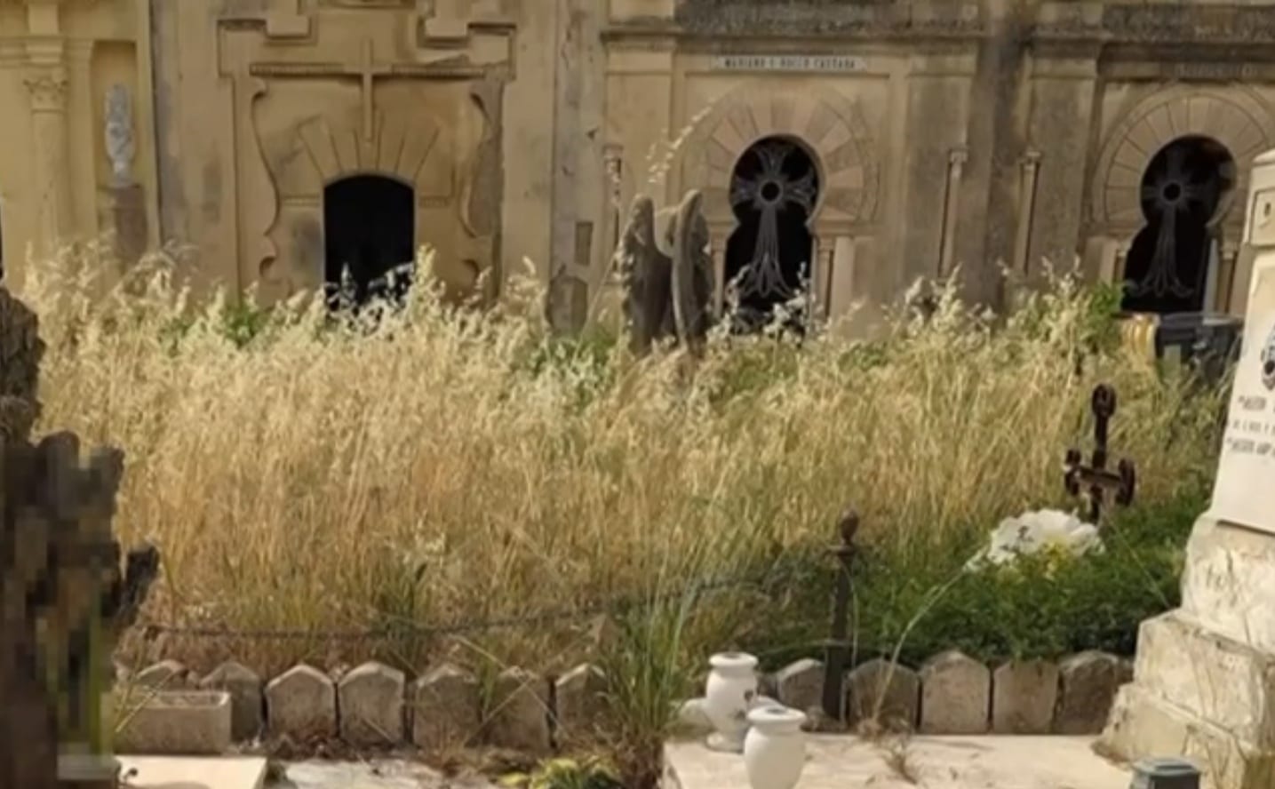 Cimiteri infestati ad Alcamo da erbacce e arbusti, degrado che si ripete
