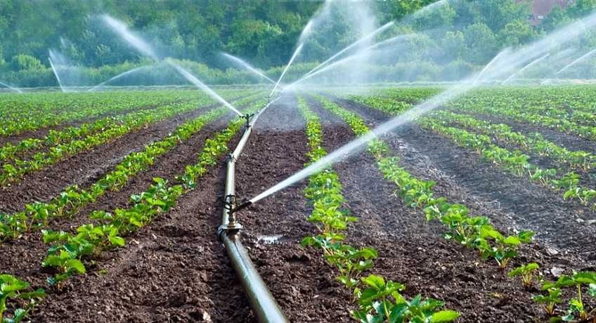 Progetto “EVE”, Alcamo in partnership con Tunisia e Irritec. Riuso di acque salmastre e reflue per l'irrigazione (VIDEO)