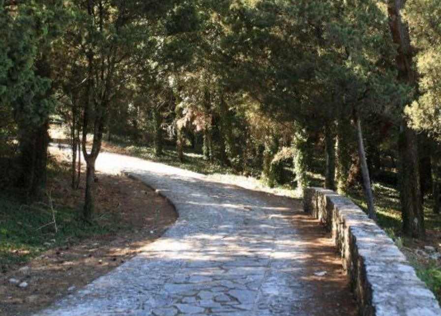 Monte Bonifato, dopo le nuove proteste del comitato Surdi invoca la Regione
