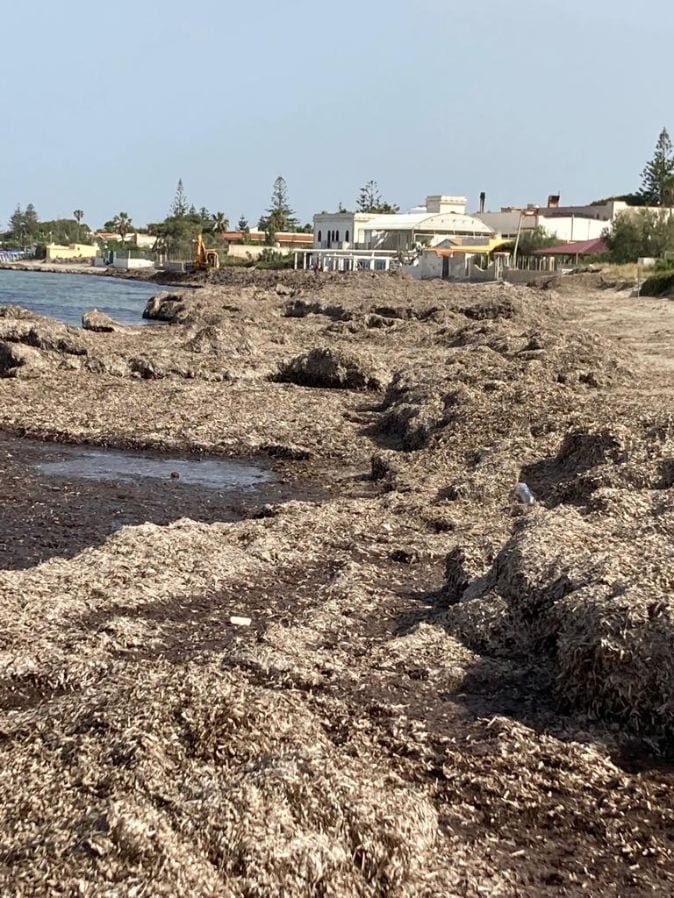 Le alghe infestano il litorale di Marsala. Previsti soccorsi di rimozione