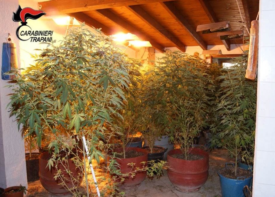 Detenzione e spaccio di canapa "indica", produzione in serra. Due arresti a Pantelleria