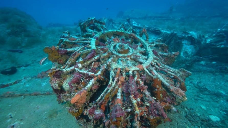 Velivolo militare della II guerra mondiale, rinvenimento a San Vito Lo Capo