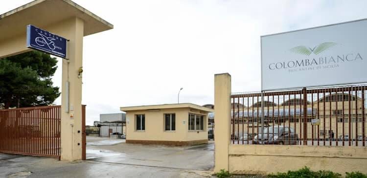 13.000 euro di vino pregiato rubato alla 'Colomba Bianca'