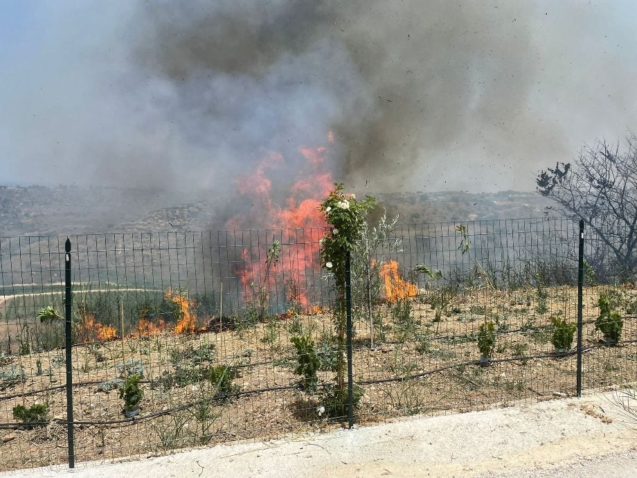 Fiamme alle pendici di monte Inici a Castellammare del Golfo. Dieci ettari inceneriti alla ‘Ginisara’