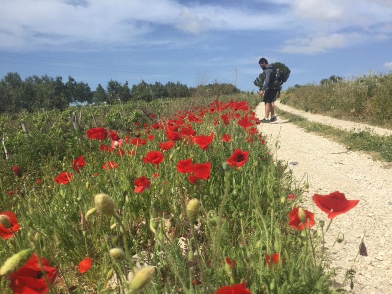 Da Calatafimi ad Alcamo. Marcia sul cammino francescano del Beato Arcangelo