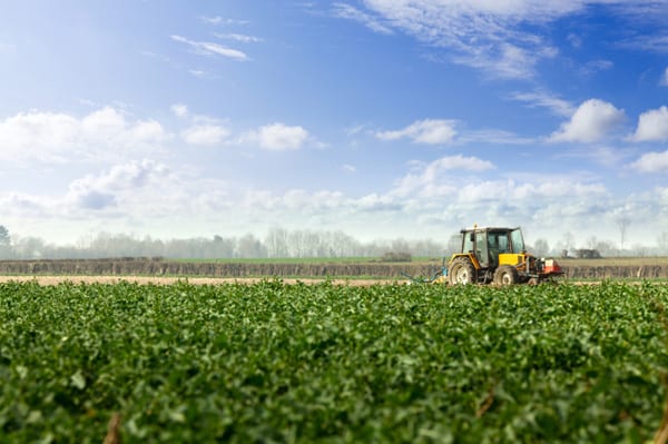 Progetto "Parco Agrisolare". Il Ministero invia fondi per il settore agroindustriale