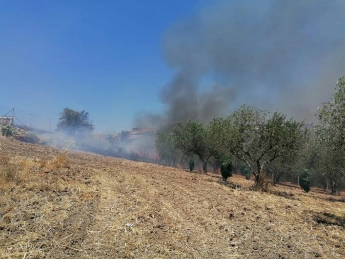 Incendio a Ballata, a fuoco terreni ed alberi di ulivo. Lambite abitazioni rurali limitrofe
