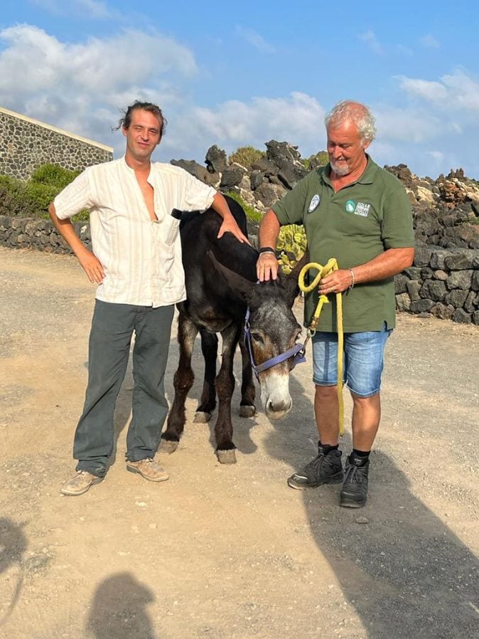"Iris", l'asinella pantesca torna sull'isola. Un viaggio lungo 2500 chilometri