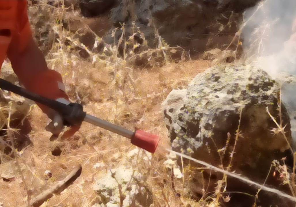 Fuoco su monte Sparacio e alle porte di Alcamo, salvi boschi e aziende