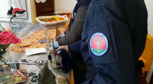 Uccidono con crudeltà una cicogna bianca. Due indagati dai carabinieri a Marsala
