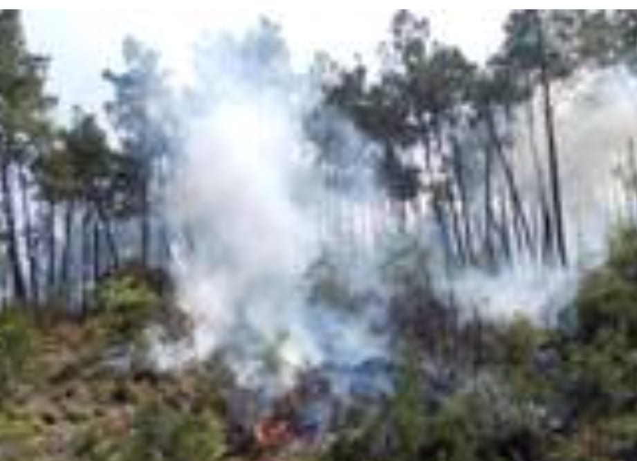 Gestione inadeguata dell’incendio di Bosco Scorace. Tranchida presenta esposto/querela