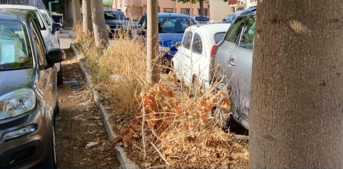 Via Martino, cittadino denuncia degrado al comune di Alcamo. Nessuna risposta alla sua PEC