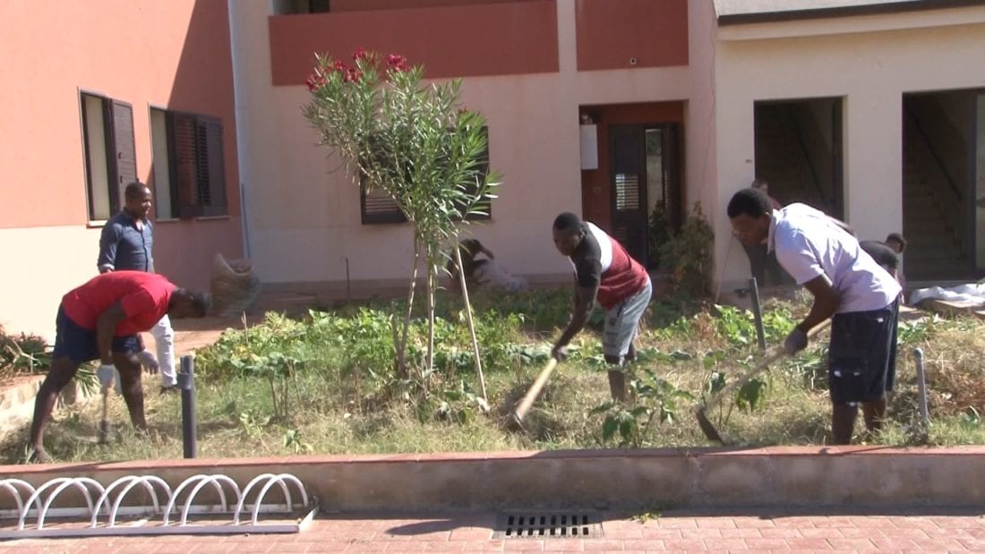 "Orto davanti casa", prodotti genuini nel centro immigrati di Bonagia