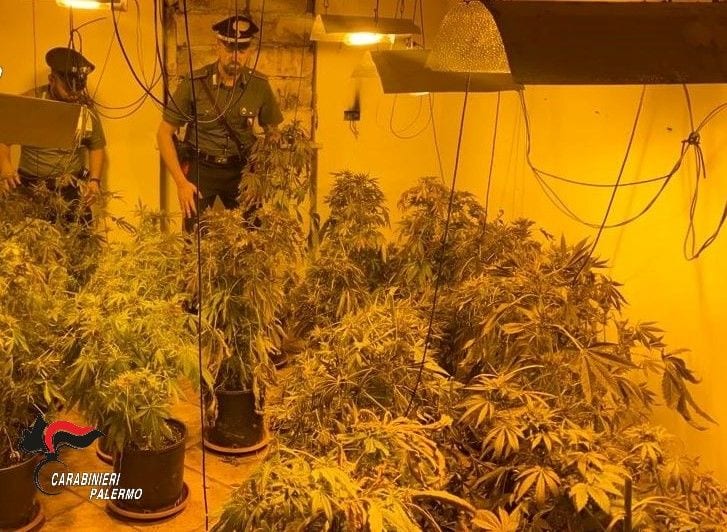 Coltivazione di cannabis e furto di energia elettrica, arrestati due uomini a Santa Cristina Gela