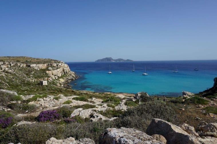 Favignana seconda nella "Top ten" di Scubadvisor, Cala Rossa e Punta Marsala in primo piano