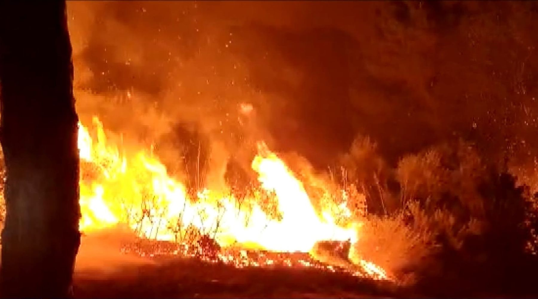 Angimbè, a fuoco 50 ettari di sughereta. Incendio doloso, due inneschi