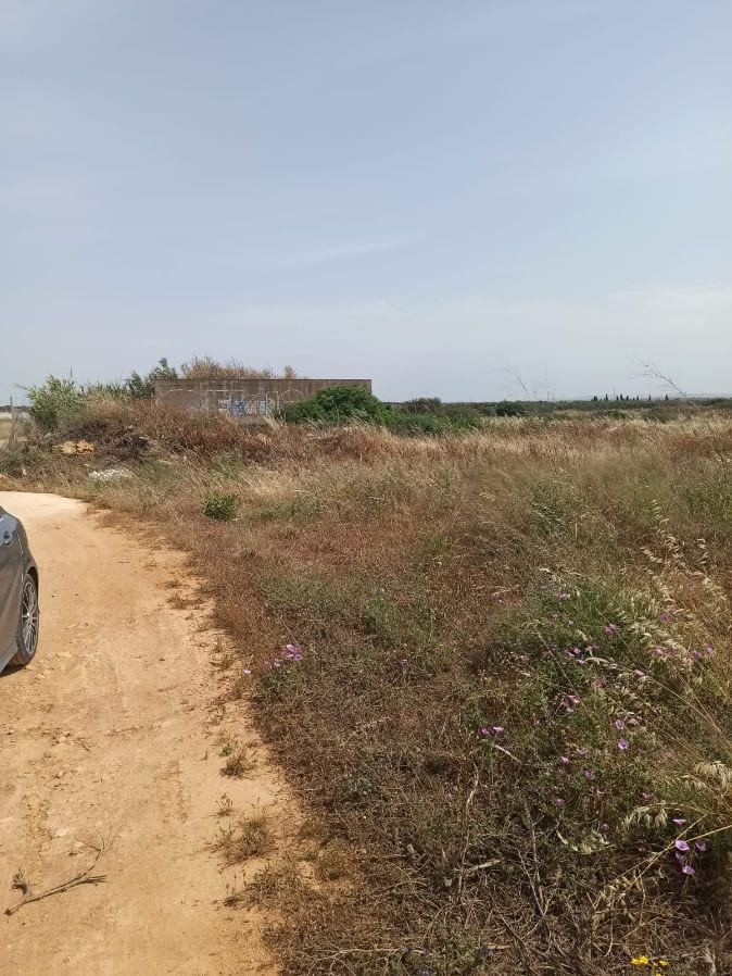 Terreni a Campobello di Mazara confiscati alla mafia, istanze per la locazione entro il 19 ottobre