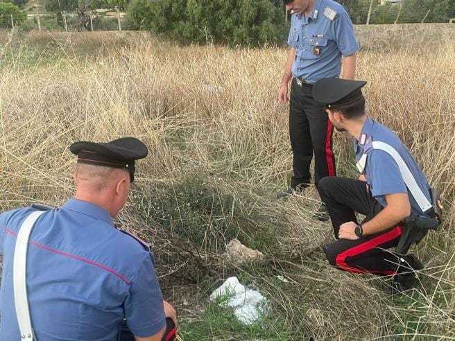 Neonato ritrovato in un sacchetto nelle campagne di Paceco. Piccolo sta bene