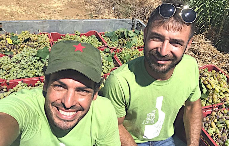 L'azienda agricola "Elios" approda per prima sul "Decanter", indicata anche la vinicola "Viola"