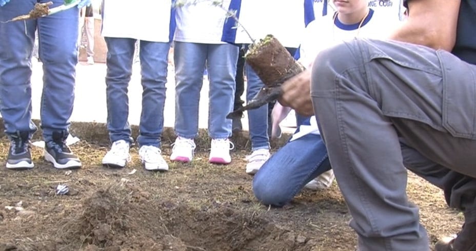 Alberi piantati dai bambini della Montessori di Alcamo, iniziativa di Forestale e Kiwanis