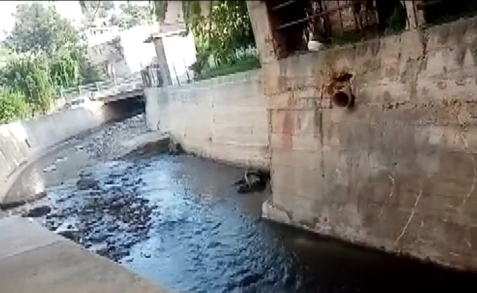 Torrente Canalotto, ma quale marrone d'Egitto! E' nera l'acqua che arriva in mare. Enti e associazioni tacciono