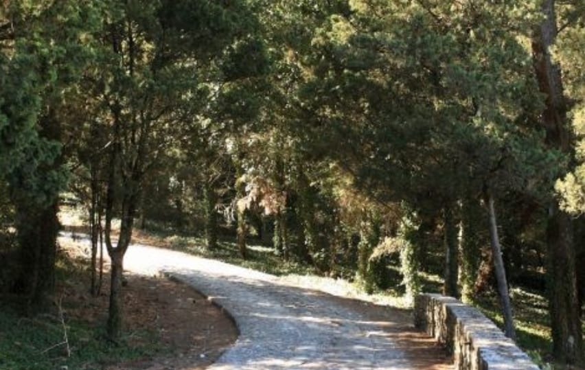 Verde e ambiente, tanti problemi ad Alcamo. Associazioni mute e quasi narcotizzate