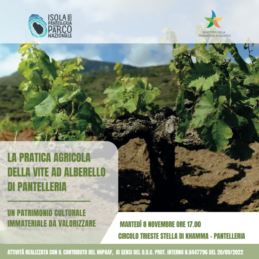 "La pratica della vite ad alberello, patrimonio da salvaguardare", domani incontro a Pantelleria