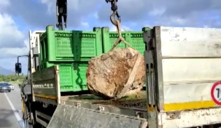 Precipita masso a Castellammare, chiusura della SS187. Con allerta gialla, quasi isolamento
