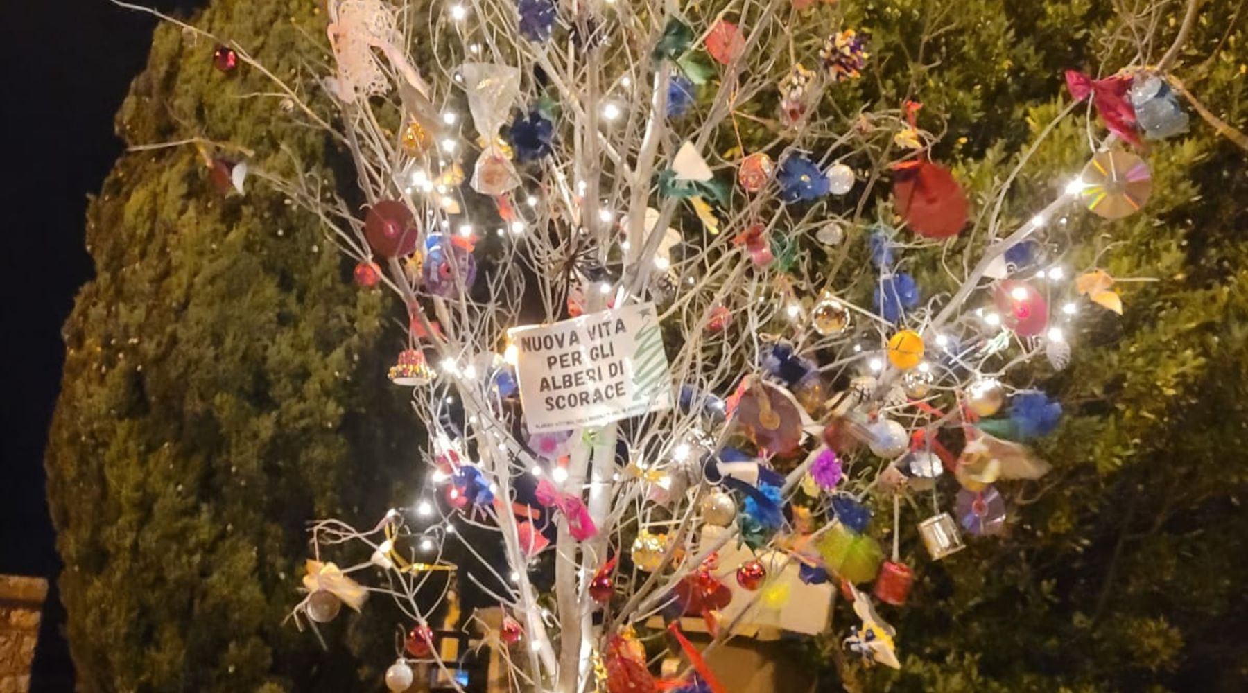 Addobbati a festa gli alberi bruciati dall'incendio. Simbolico gesto del comune di Buseto