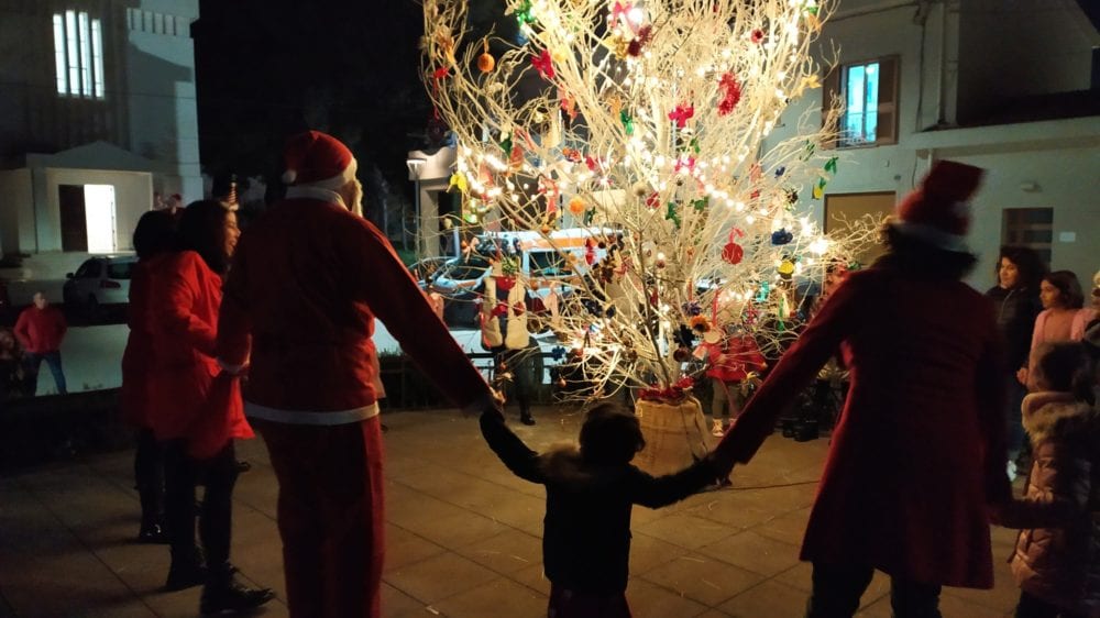 alberi natale buseto