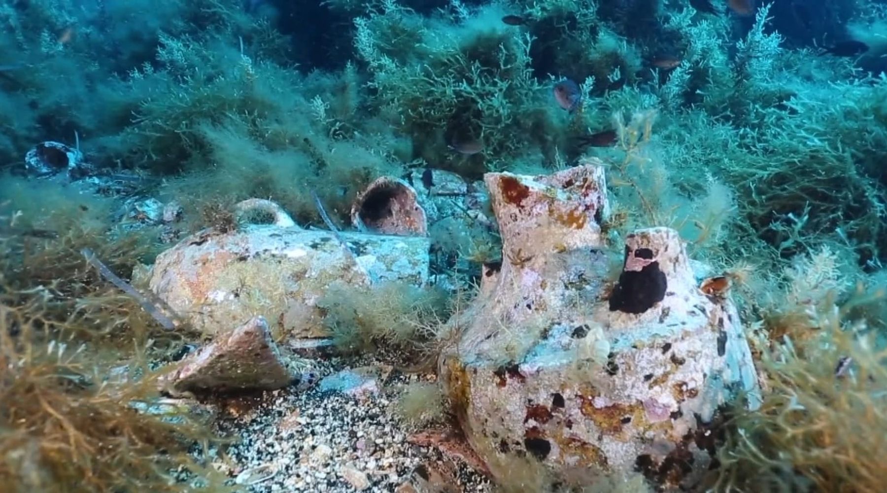 Nuovi reperti archeologici nei fondali di Pantelleria, anfore fino a 100 metri di profondità