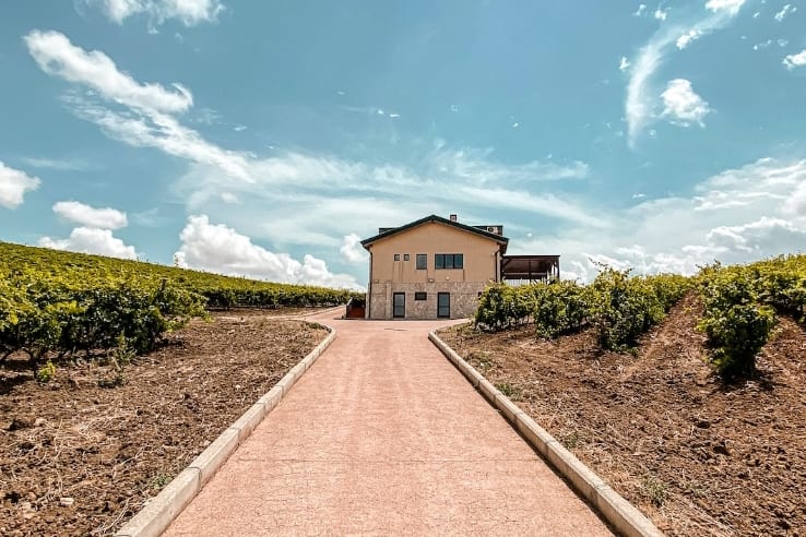 Cantina ‘CentoPassi’ in terre confiscate. Lavori per 1.115.000 euro a San Cipirello