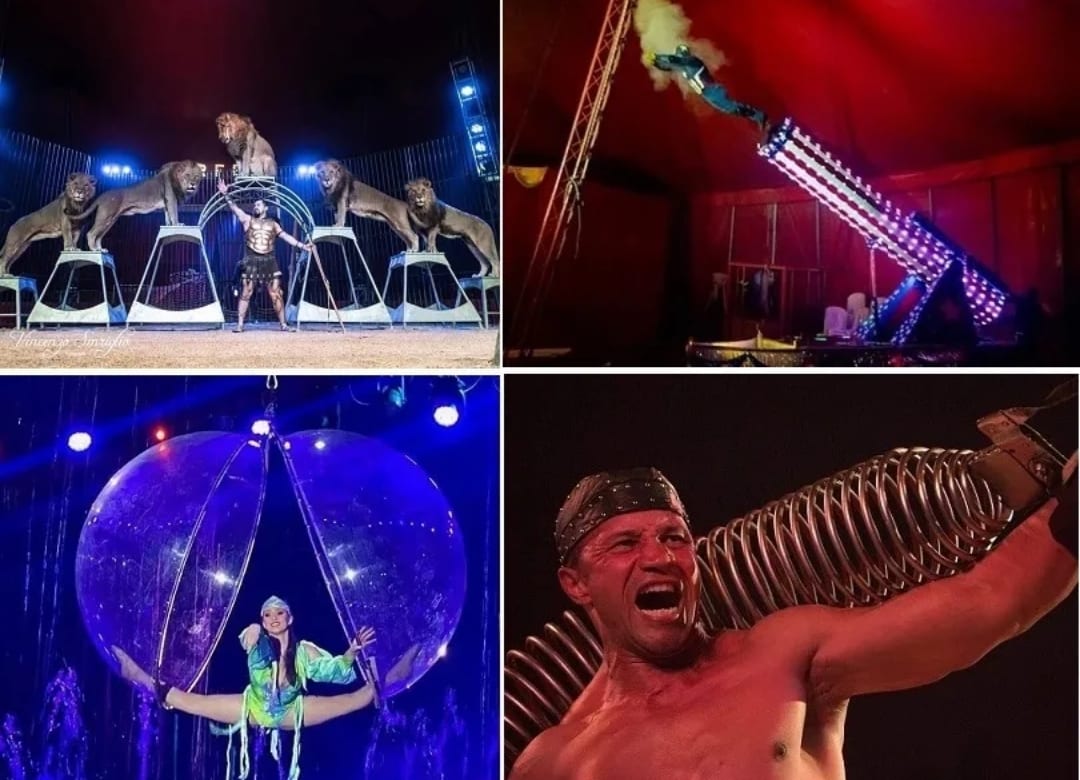 Il circo Sandra Ofei per la passione dsi trapanesi. Incredibile performance di un 'Maciste'