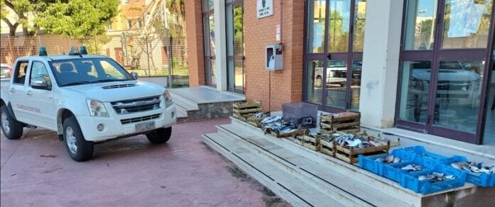 Pesce non tracciato, sequestrati 145 kg di prodotti al porto di Trapani. Sanzione di 1.500 euro