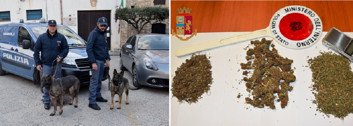 Perquisizioni anti-droga ad Alcamo, polizia arresta uomo di 44 anni. Denunciato un incensurato