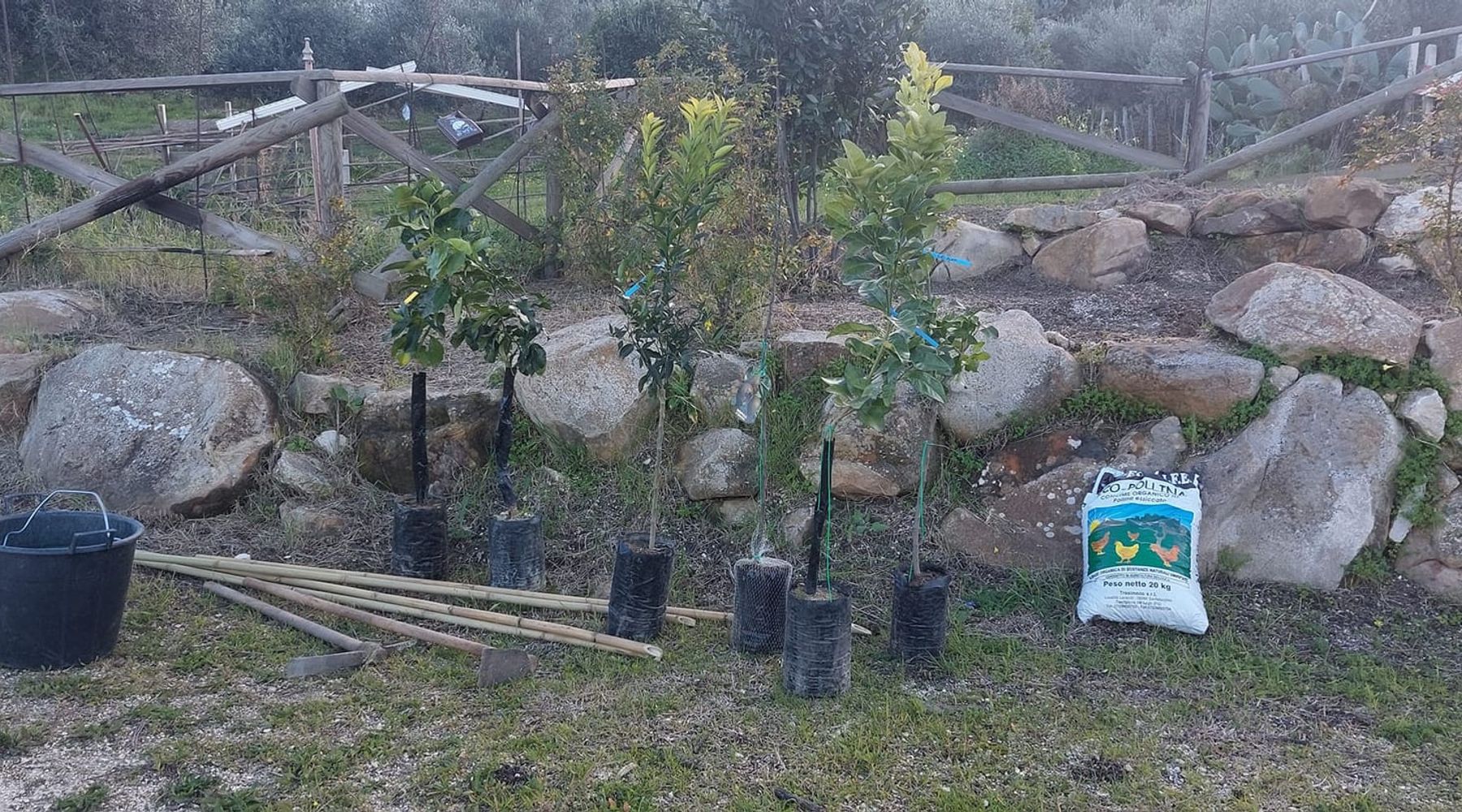 "La rinascita della Cuba", nuove piante ed arbusti all'antico serbatoio di Alcamo