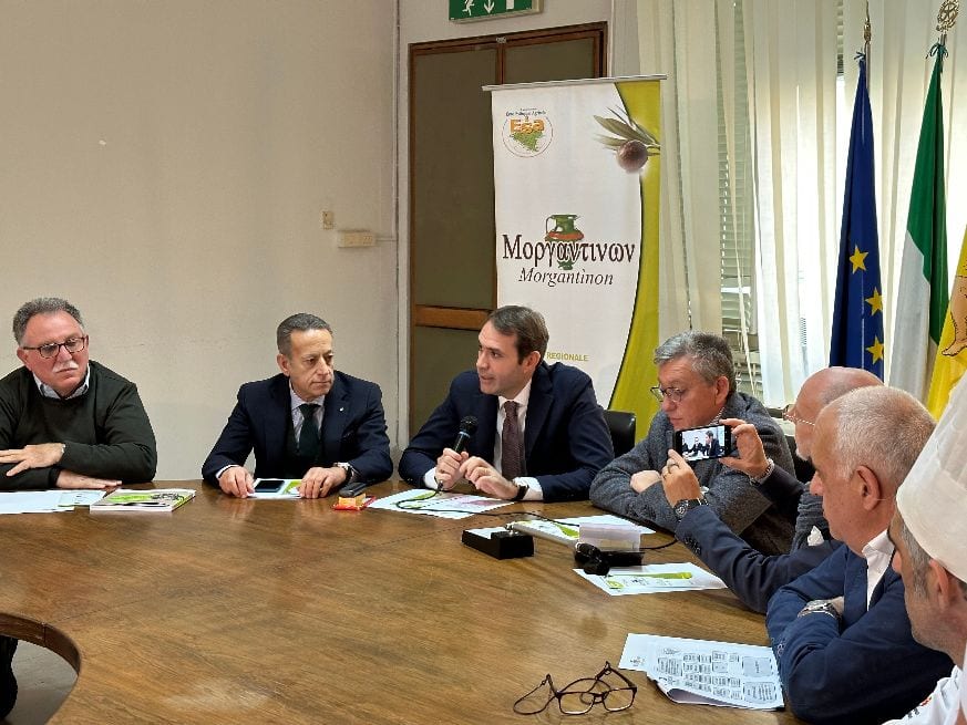 Concorso Morgantinon, eccellenze siciliane dell'extravergine di oliva. Invio campioni entro 10 marzo
