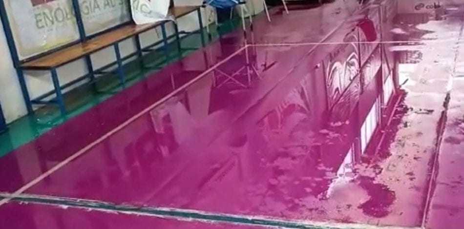 Infiltrazioni alla “Bellina” di Marsala, assessore va sul tetto. Fly Volley rinuncia