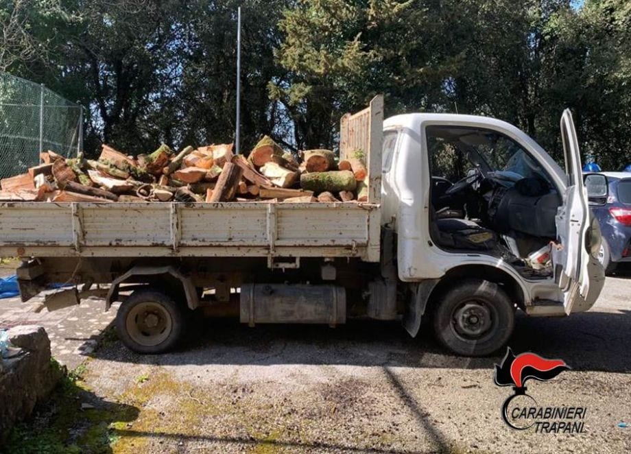 Dodici quintali di legna rubata da pineta comunale, sorpresi quattro trapanesi