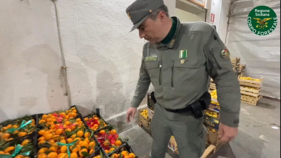 Arance non tracciate a Palermo, ispezione del Noras. Interviene Coldiretti Sicilia