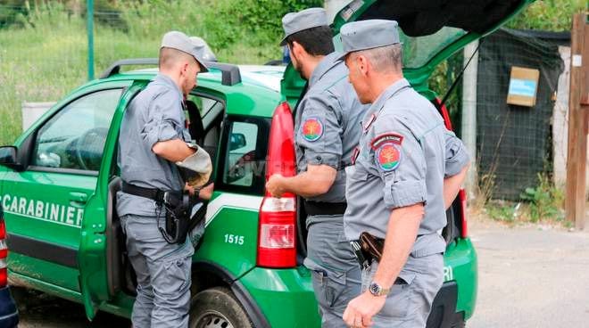 Commercio irregolare di pellet, sanzionata una ditta di Marsala