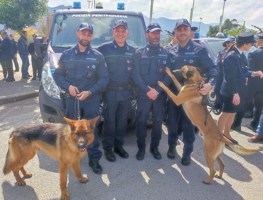 Droga in cella al carcere di Trapani, cane Enea protagonista del ritrovamento