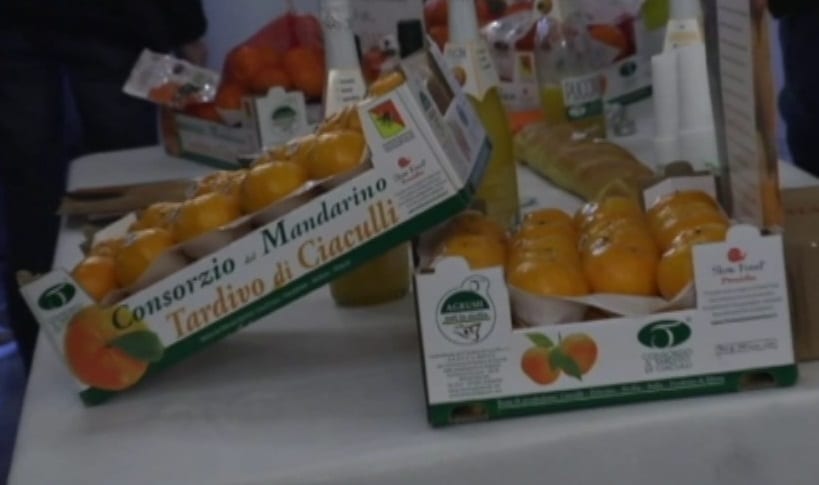 “Tardivo Ciaculli Expo”, cooperativa 'Terre di Balestrate' in fiera