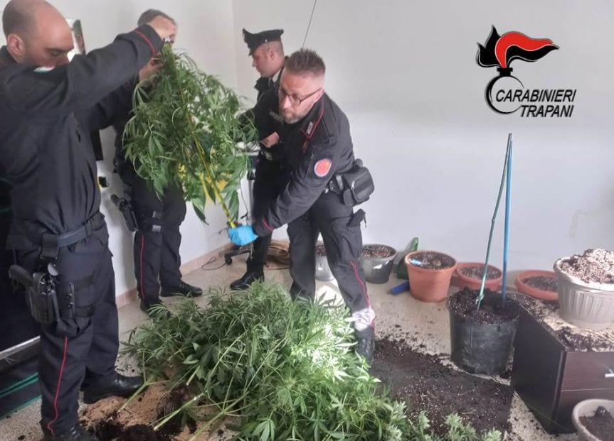 Denunce a Marsala, dalla coltivazione di canapa in casa al divieto di accesso urbano