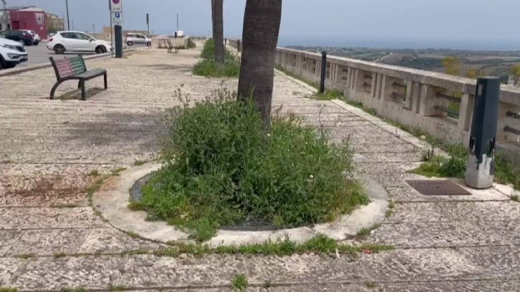 Piazza Bagolino di Alcamo invasa dalle erbacce, brutto biglietto da visita