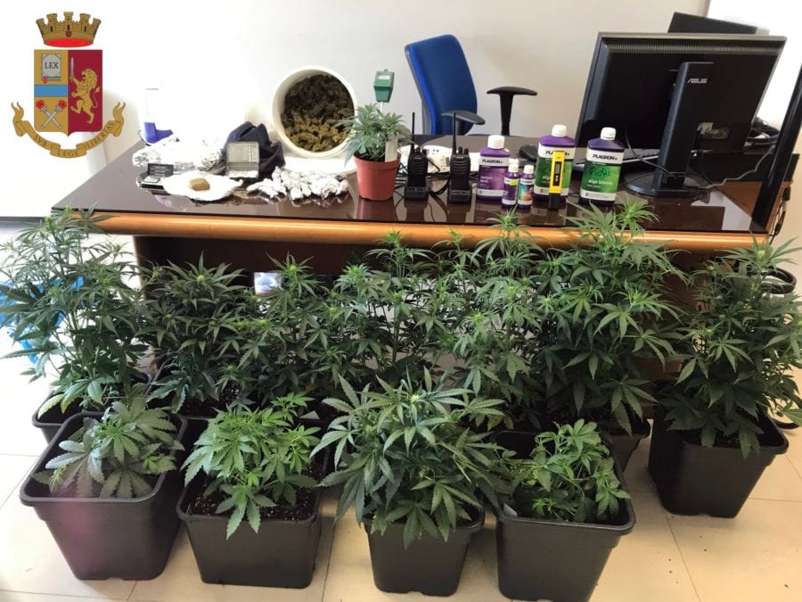 Coltivavano marijuana in serra, arrestati due mazaresi