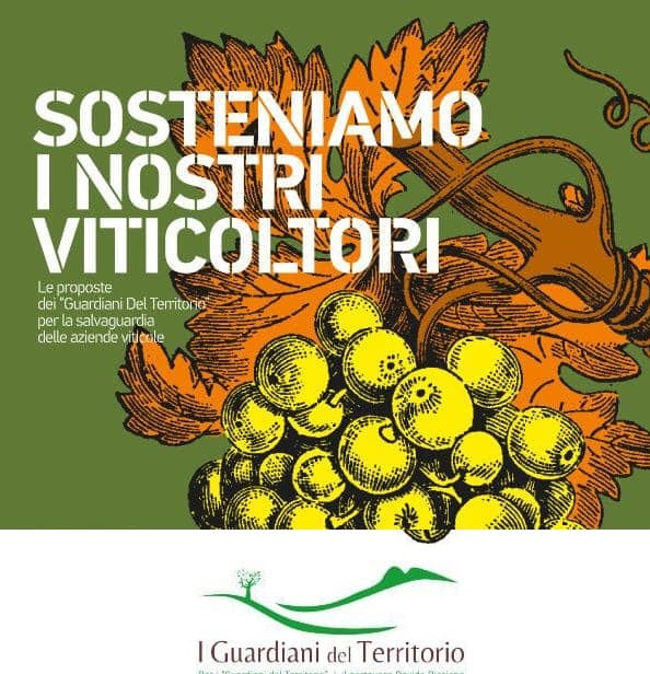 Viticoltura in grave crisi, 'Guardiani del territorio' chiede aiuti alla Regione